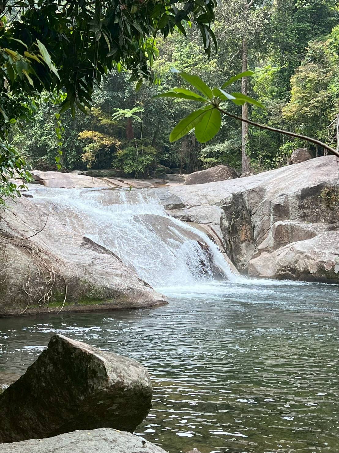 ยอดเขาหลวง 4