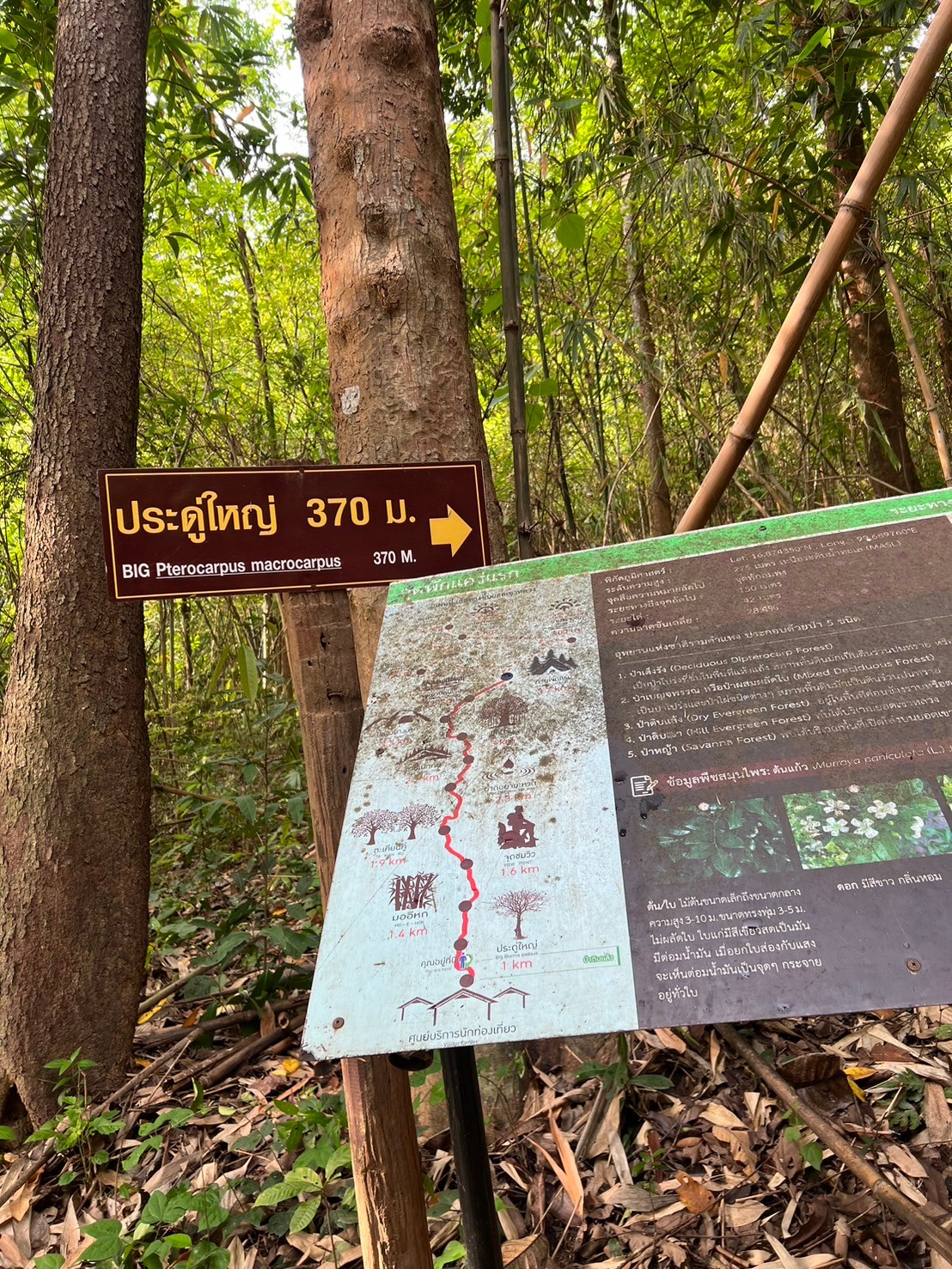 เขาหลวงสุโขทัย 2